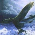 /album/hagamos-algo/aguila-de-haast-jpg1/